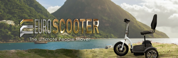 Euro Scooter Accessories